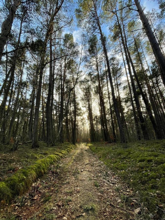 Wygodny Eko Domek Kolo Nadmorskiego Parku Krajobrazowego Karwienskie Bloto Drugie Экстерьер фото